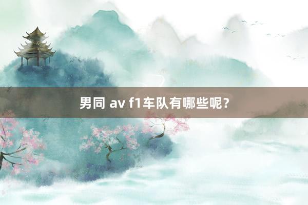 男同 av f1车队有哪些呢？