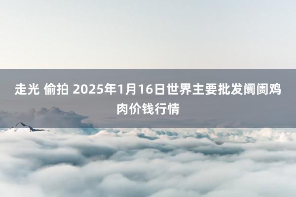 走光 偷拍 2025年1月16日世界主要批发阛阓鸡肉价钱行情